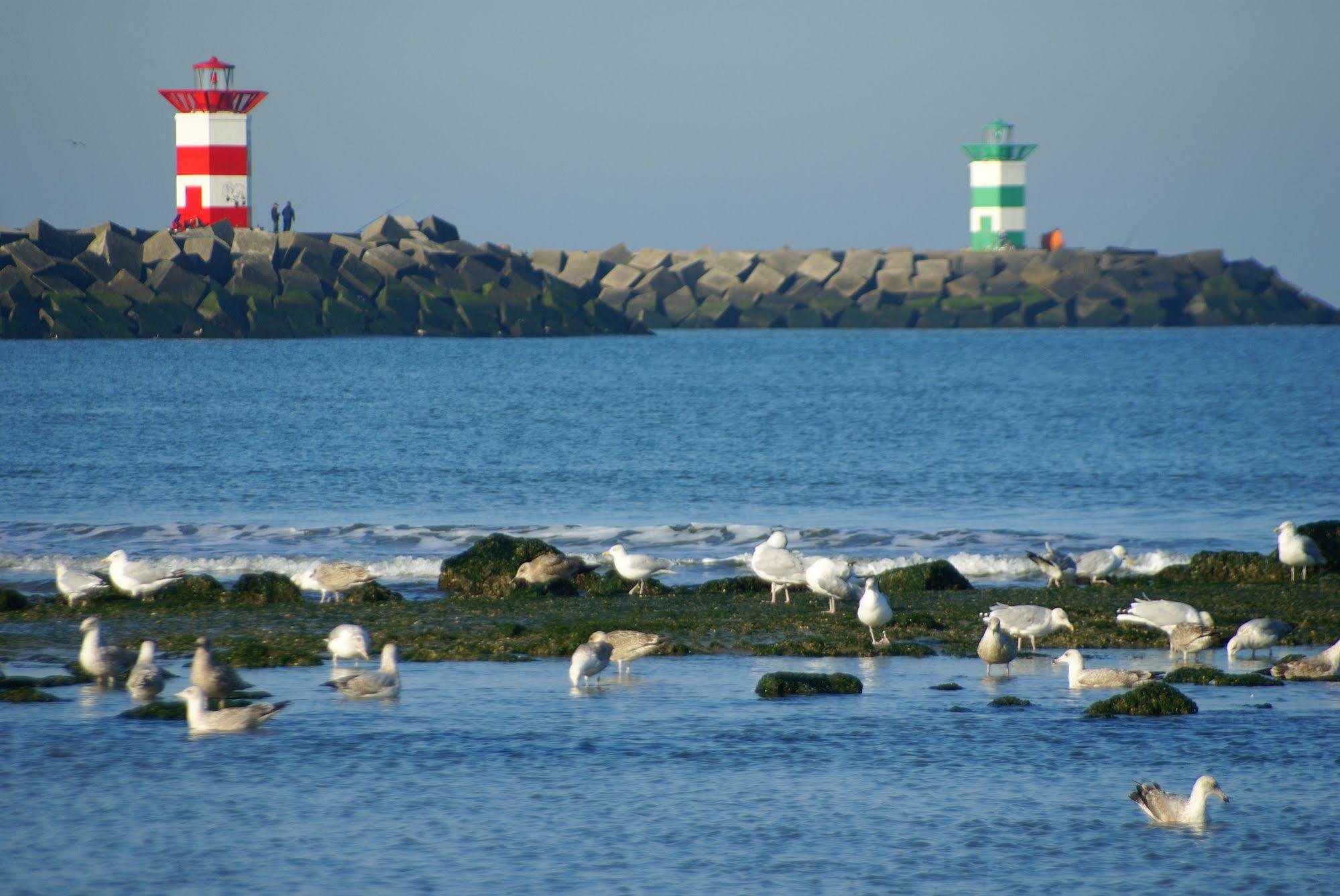 Boulevard Hotel Scheveningen 헤이그 외부 사진